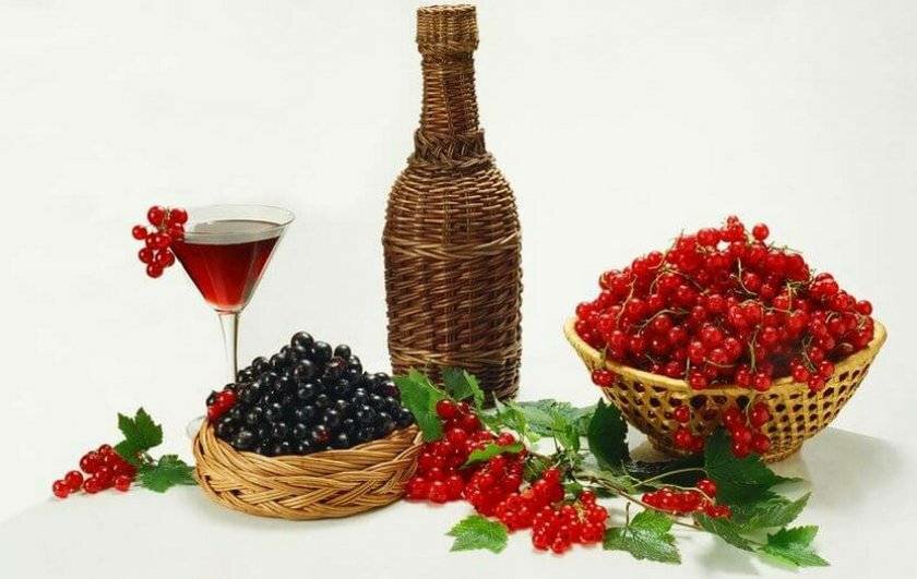 Сорбет из красной смородины и десертного вина