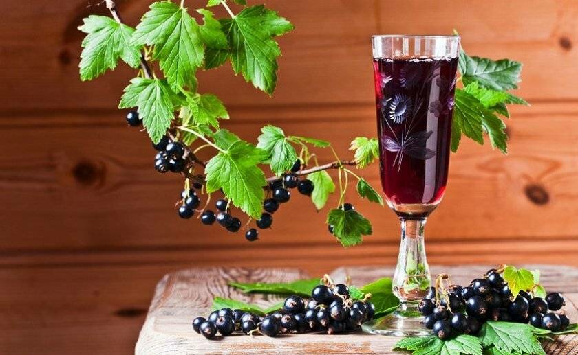 Сорбет из красной смородины и десертного вина