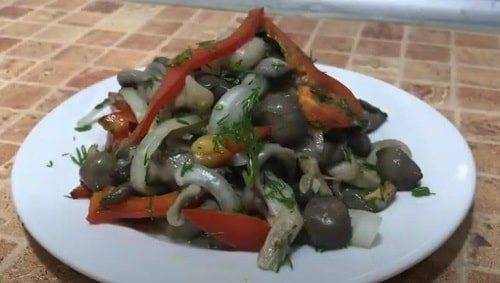 Маринованные вешенки: топ 11 очень вкусных рецептов быстрого приготовления