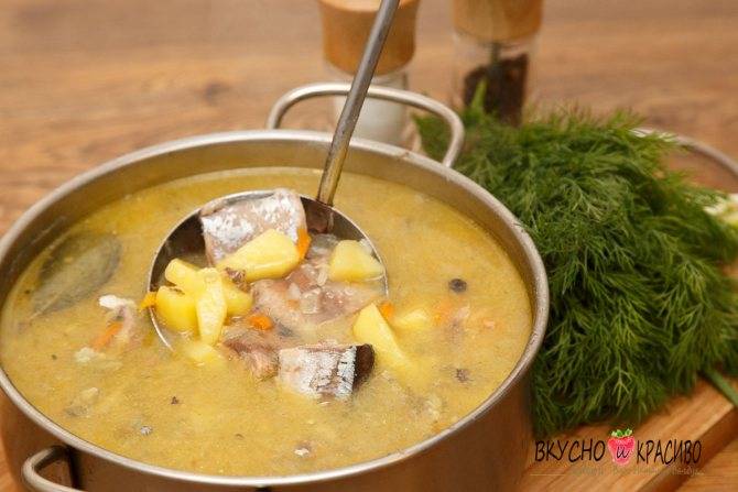 Рыбный суп из сайры - классический рецепт с пошаговыми фото