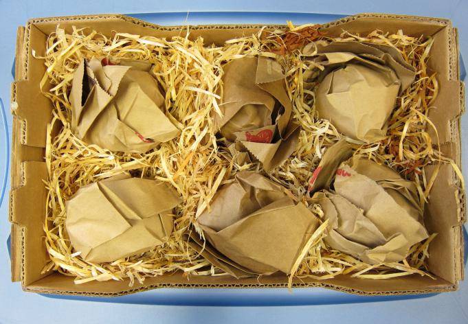 Яблоки, запеченные в духовке: 15 простых и вкусных рецептов