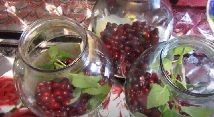 Как и сколько варить компот из вишни