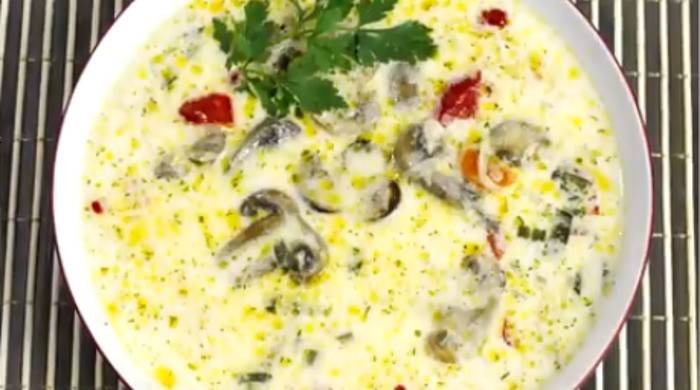 Рецепты супов с консервированными шампиньонами
