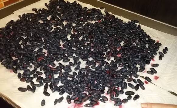 Вкуснейшее варенье из жимолости