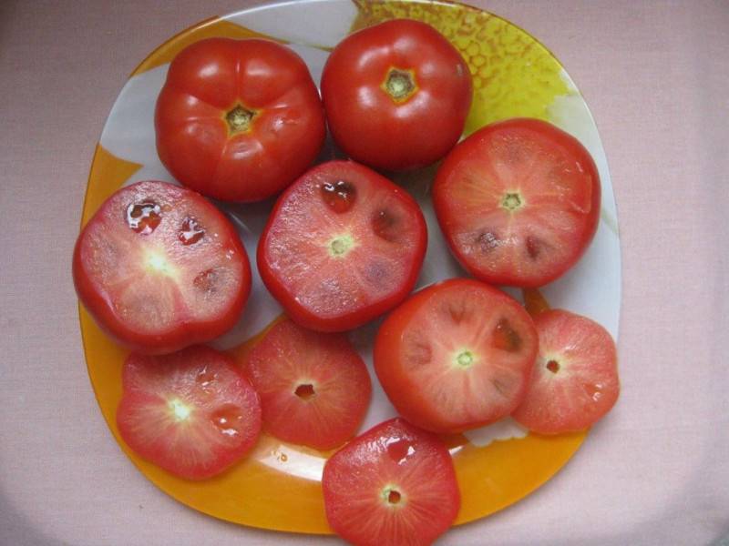 Фаршированные помидоры в духовке с мясным фаршем