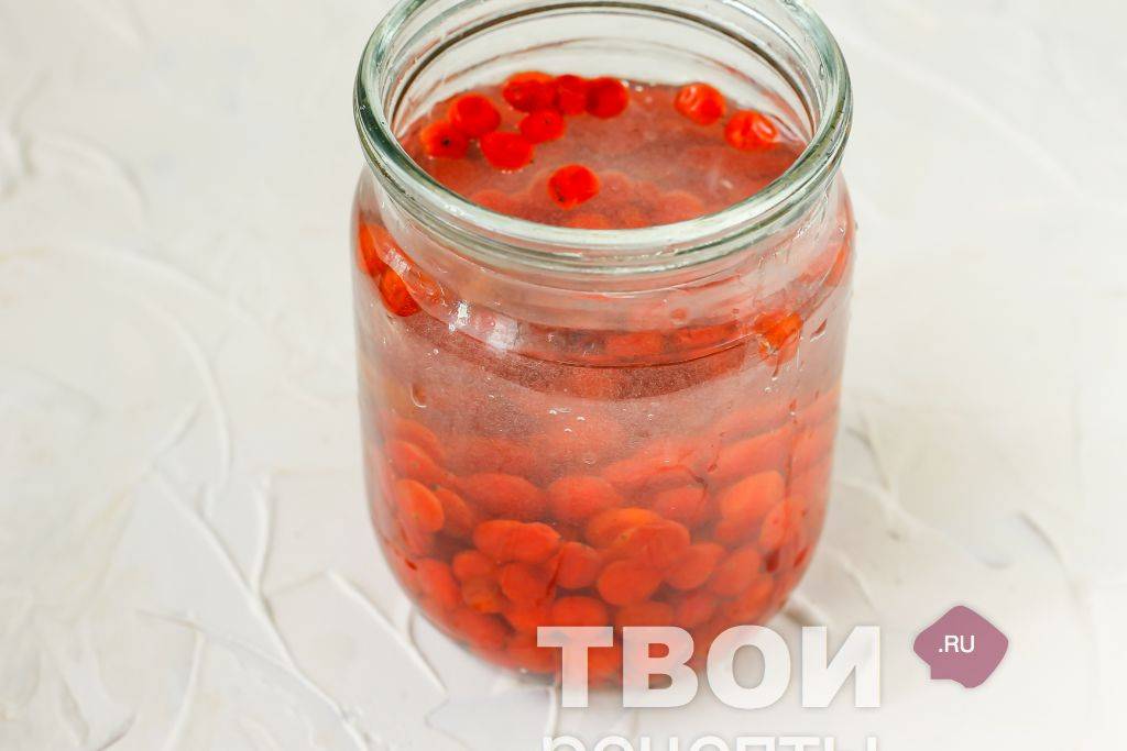 Настойка из калины на водке: делаем красивый, ароматный и полезный напиток своими руками – сайт о винограде и вине