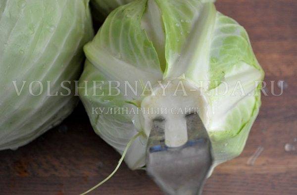 Голубцы из свежей капусты и куриного фарша
