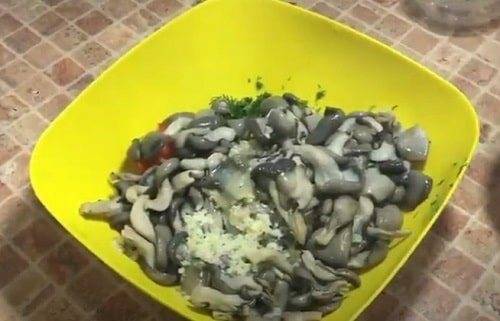 Маринованные вешенки: топ 11 очень вкусных рецептов быстрого приготовления