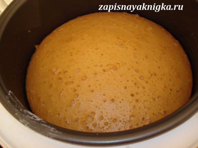 Медовый бисквит