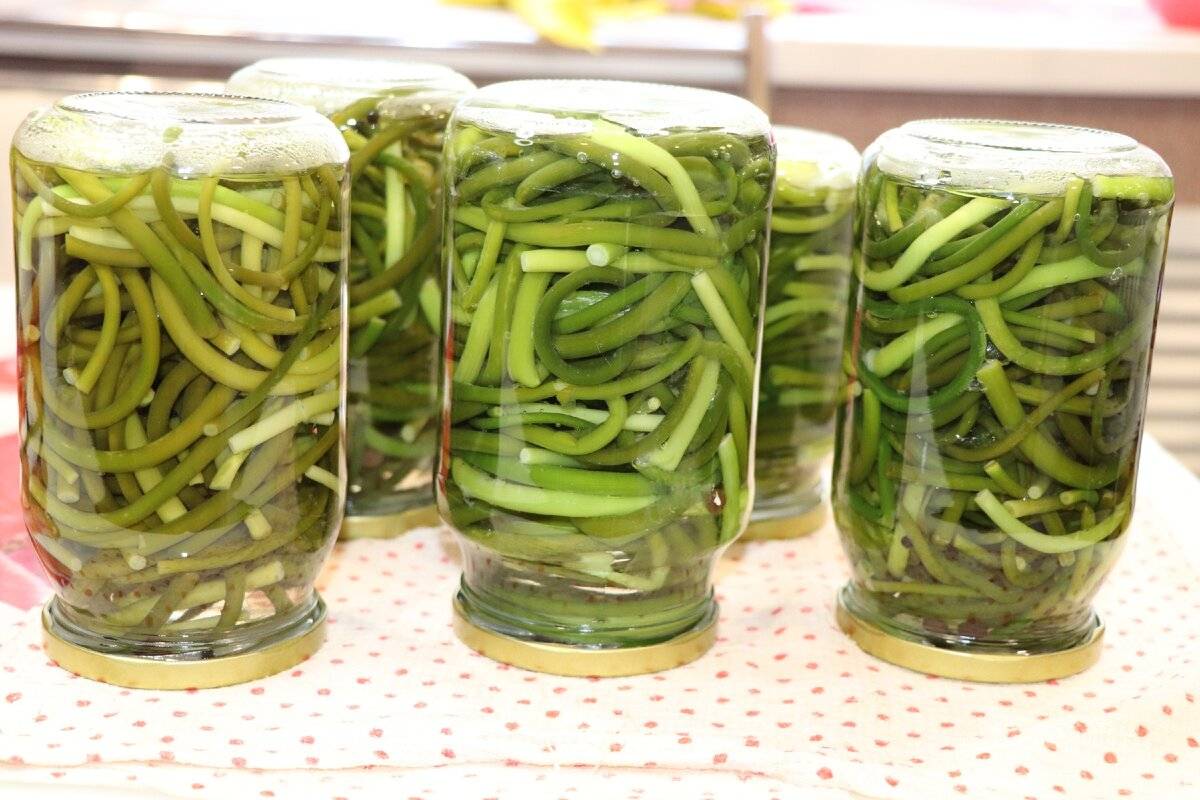 Маринованные чесночные стрелки на зиму - рецепты приготовления заготовок